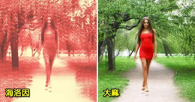 15種「不同人體影響」眼中的神奇世界 6個月大的寶寶擁有「最唯美濾鏡」❤