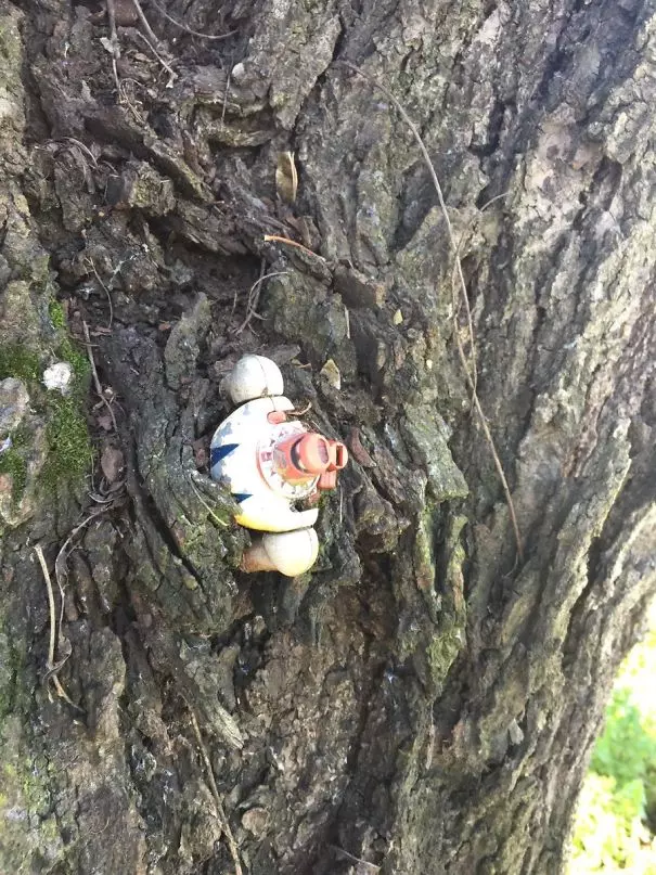 生命中最大的喜悅就是找回「以為已無緣」的遺失物,是你的就是你的!(34張)