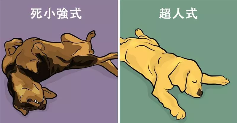 千萬別誤解了!18個常見狗狗行為「背後真正意思」 看到流浪狗「耳朵往後」就要小心
