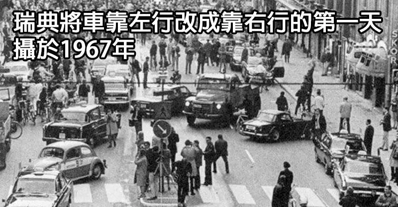 15張人類滅絕後「最適合留給下一批地球文明」奇趣歷史照。#14 這隻熊有按摩師執照!
