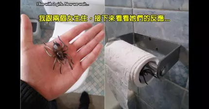 32個在地獄已經有油鍋等著他們的「超欠揍人類」。