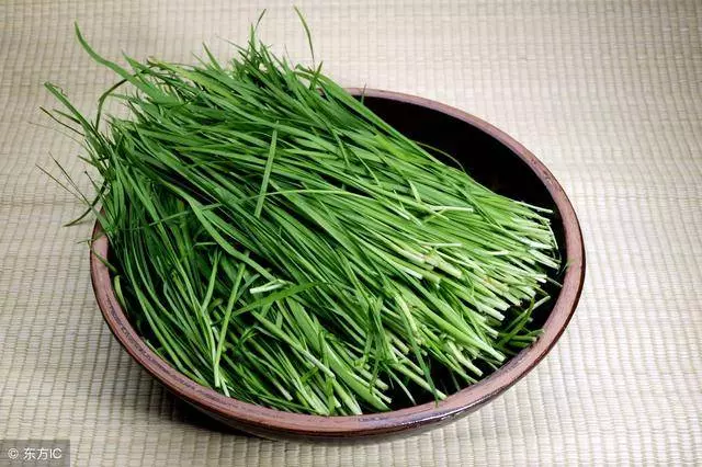 視力不清楚,要常吃這幾種食物