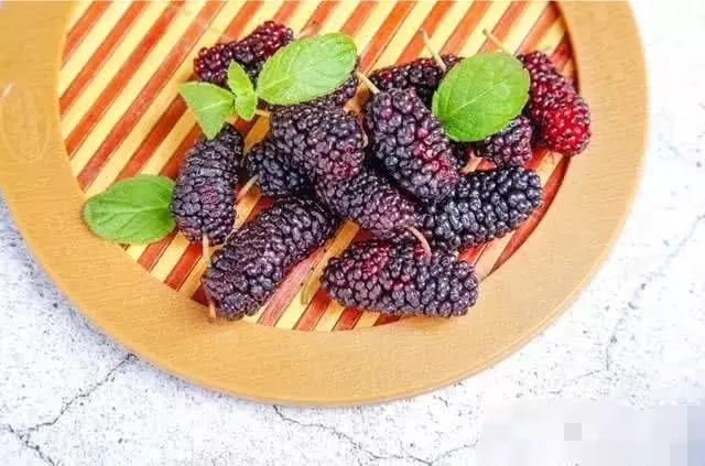 桑葚果有什麼營養?說出來你都不一定會信,漲知識了