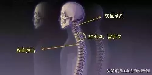 背著「富貴包」可不是真富貴,如何消除?用對方法3招搞定