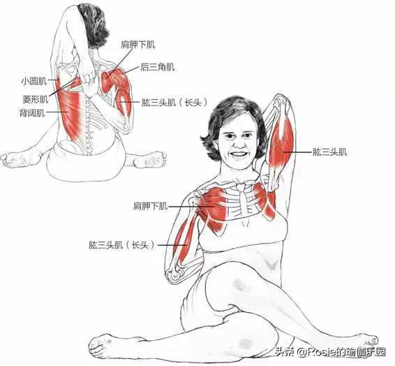 背著「富貴包」可不是真富貴,如何消除?用對方法3招搞定