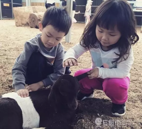 王寶強兒子已證實不是親生?!沒想到他的女兒竟是...孩子真的太可憐了!
