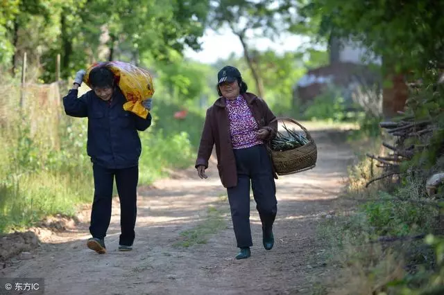 在外面分開過的兒子就是寶,在家裡累死累活再孝順的兒子都是根草