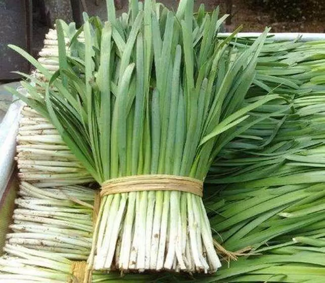 養生專家:癌細胞最怕的「9種菜」 ,平時多吃一點,排除毒素,遠離癌細胞