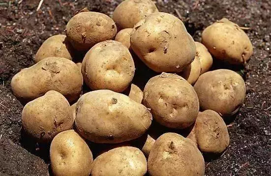 這些食物千萬不可以長時間放冰箱,時間放久了寧可扔掉也不要吃,你知道的有幾樣??