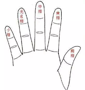 男性看左手,女性看右手,五指看你一生命運,很凖!