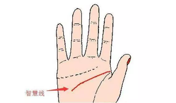 男性看左手,女性看右手,五指看你一生命運,很凖!