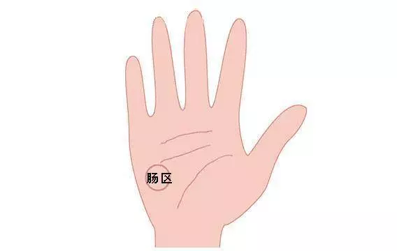 男性看左手,女性看右手,五指看你一生命運,很凖!