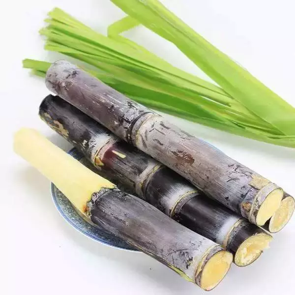 1種水果號稱【補血之王】,每天當零食吃一點,能促進骨骼生長、消除疲勞、預防口臭,氣色不好的朋友可以試試