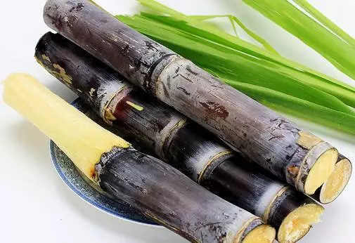 1種水果號稱【補血之王】,每天當零食吃一點,能促進骨骼生長、消除疲勞、預防口臭,氣色不好的朋友可以試試