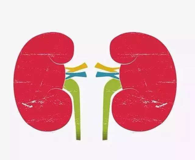「腎」不好腳知道,如果腳上沒有這三個表現,恭喜你的腎很健康!!