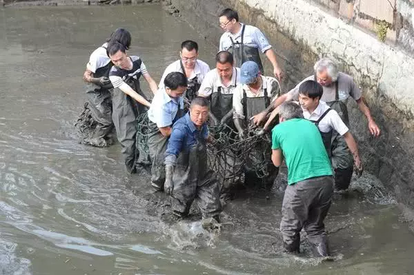 明明能交配卻無法繁殖的超古老生物即將滅絕,目前2隻在中國、1隻在越南!