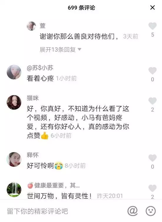 載「受傷小馬」看醫生...牠父母不放心竟「跟著走了10公里」:孩子沒事吧?