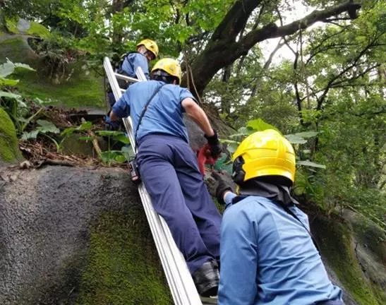 媽媽你在哪兒?「兩狗寶被狗媽遺留下水道」悲鳴不已 外籍暖男圖救無果後報警