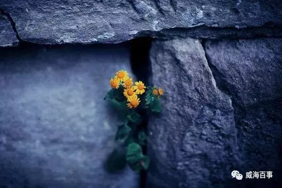 人在落魄時,熬過去,就贏了