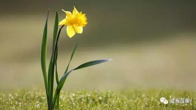 人在落魄時,熬過去,就贏了