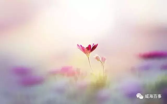 人在落魄時,熬過去,就贏了