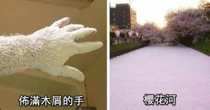 18張真有其事「不是P圖」的日常奇妙畫面