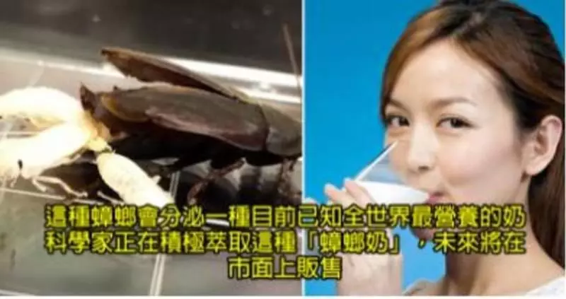 24個會讓你毛到不需要開冷氣的超毛骨悚然驚悚知識