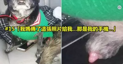18張讓你明白「其實你今天過得還不錯」的網友崩潰生活照。