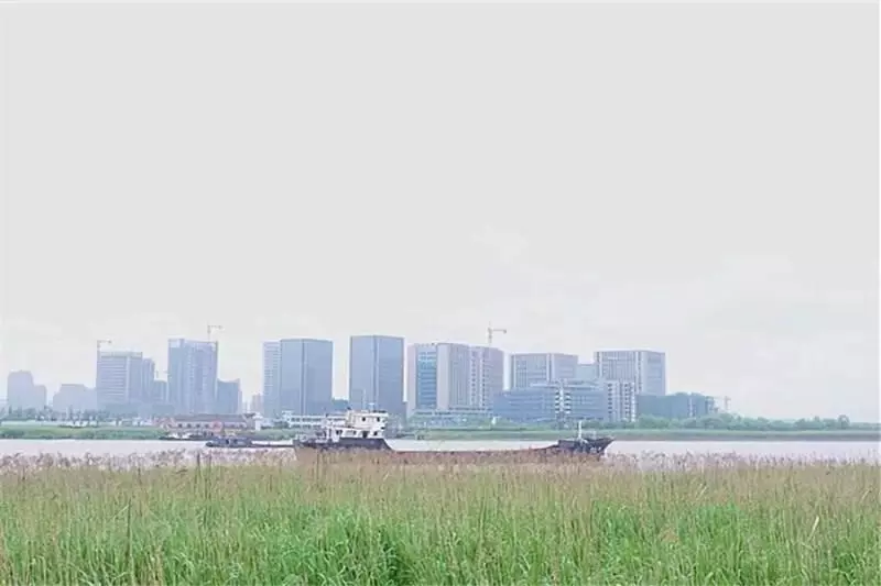 皮包骨流浪狗站不起來,仍然努力對人搖尾巴,用盡全力微笑,志工撿回2周後變美狗