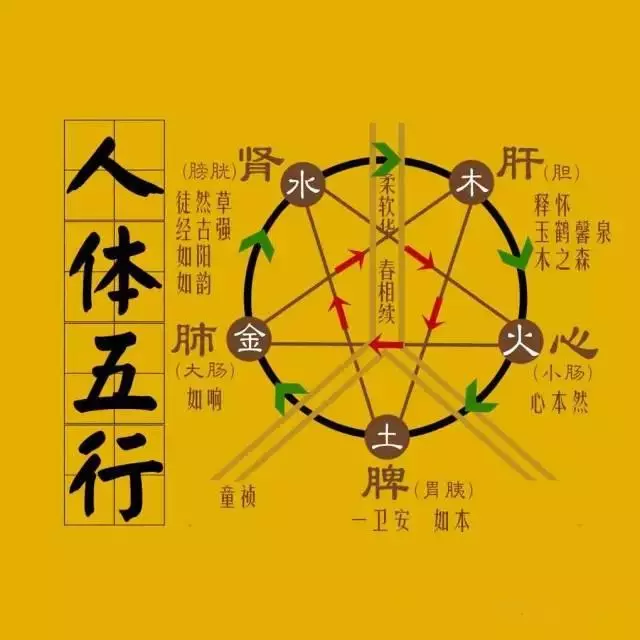 道醫手相手診秘法,看疾病部位超準!建議收藏!