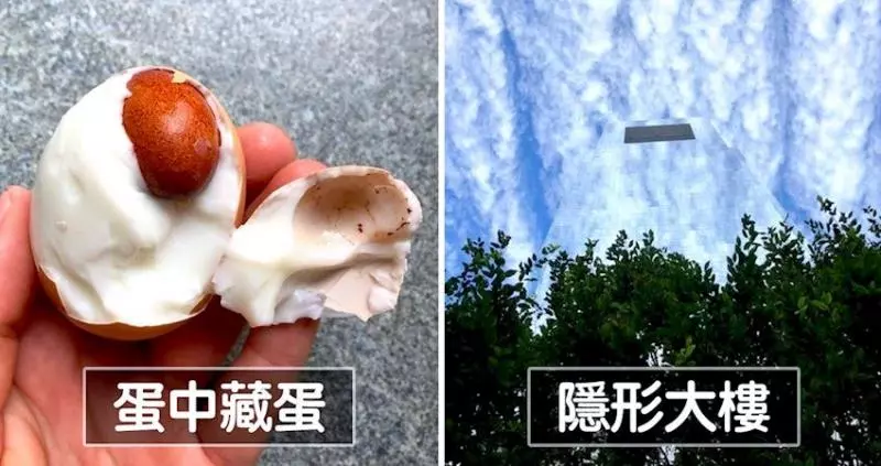 幸運之神降臨! 20張「把平凡化身不平凡」的日常奇蹟照