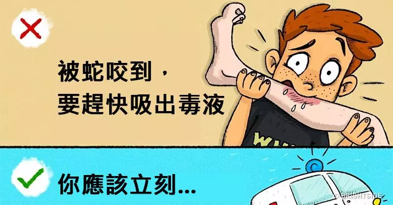 9個「反而會立刻害死你」的超瞎網路救命謠言。#5 遇到熊不能裝死!