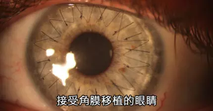 19張驚奇到你忍不住多看三眼的「不可思議罕見照」。