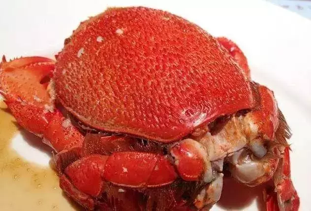 全球最貴的10種海鮮,看看有錢人都在吃什麼