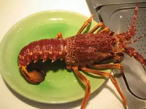 全球最貴的10種海鮮,看看有錢人都在吃什麼