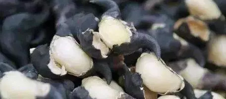醫生提醒:4種食物滿布寄生蟲,怎麼煮都清不淨,最後一種,很多人都愛吃