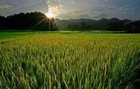 身上有個排濕出口,1天拍打100下,一身濕氣全排空