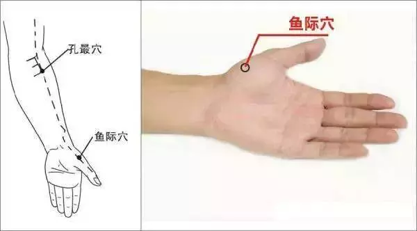 經常半夜容易醒?是身體經絡堵住了,教你【敲一敲】手腳,疏通肝經肺經,遠離失眠!
