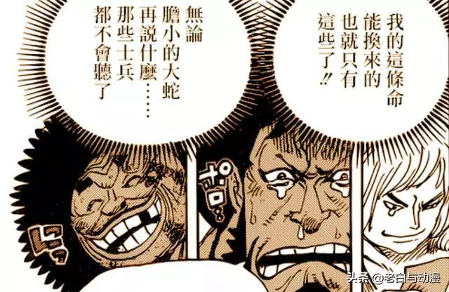 海賊王942話:老康領便當,財神鎮的人大笑,索隆看到後很氣憤!