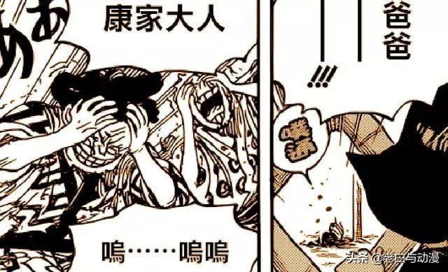 海賊王942話:老康領便當,財神鎮的人大笑,索隆看到後很氣憤!