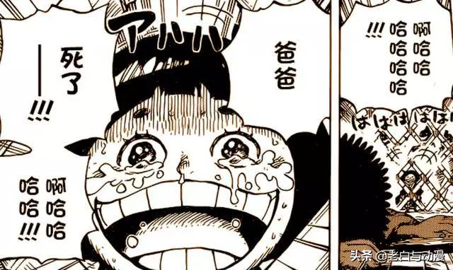 海賊王942話:老康領便當,財神鎮的人大笑,索隆看到後很氣憤!