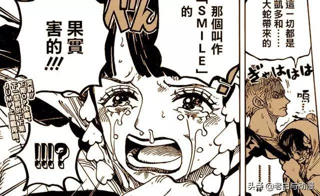 海賊王942話:老康領便當,財神鎮的人大笑,索隆看到後很氣憤!