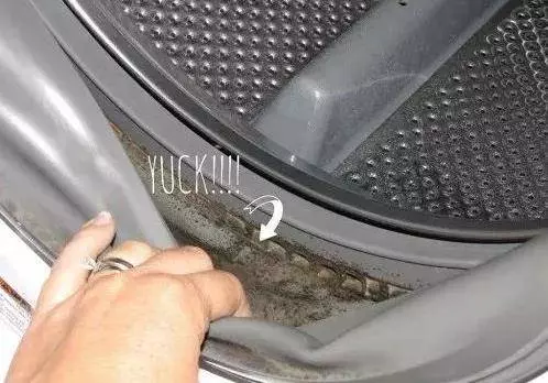 用了10年洗衣機,今天才知道右下角的小門是這麼用,難怪衣服洗不乾淨,現在知道還不晚