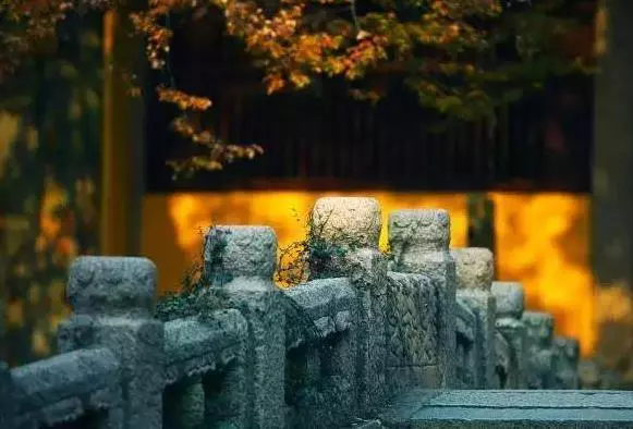「刺蝟取暖」的相處哲學,關系再好,也要保持距離