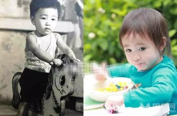 女星的女兒「長相大不同」!李麗珍女兒、邱淑貞女兒、鐘麗緹女兒、朱茵女兒,差別不是一般大!