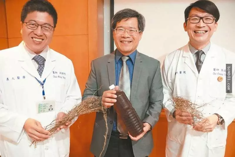 台灣居然有地方出產可以抗癌的青草茶,醫學院團隊好奇研究後證實癌細胞會凋亡!