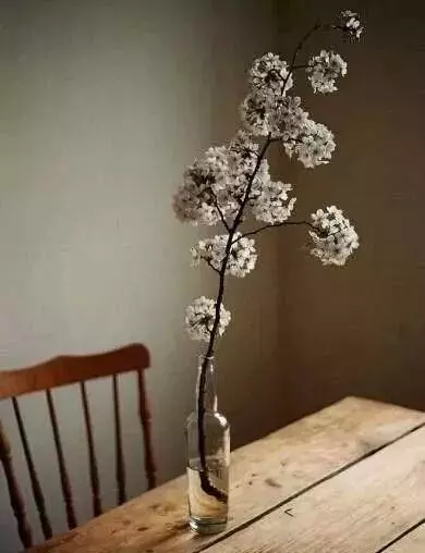 4朵花哪朵最堅強,測你最近什麼運會大轉?
