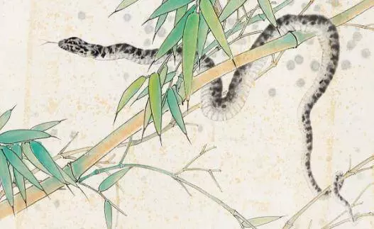 屬蛇的人,9月定有大喜,請為屬蛇的傳一下