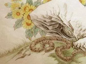 屬蛇的人,9月定有大喜,請為屬蛇的傳一下