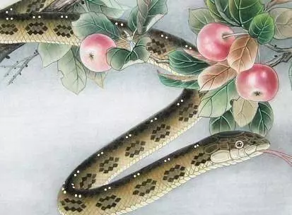 屬蛇的人,9月定有大喜,請為屬蛇的傳一下